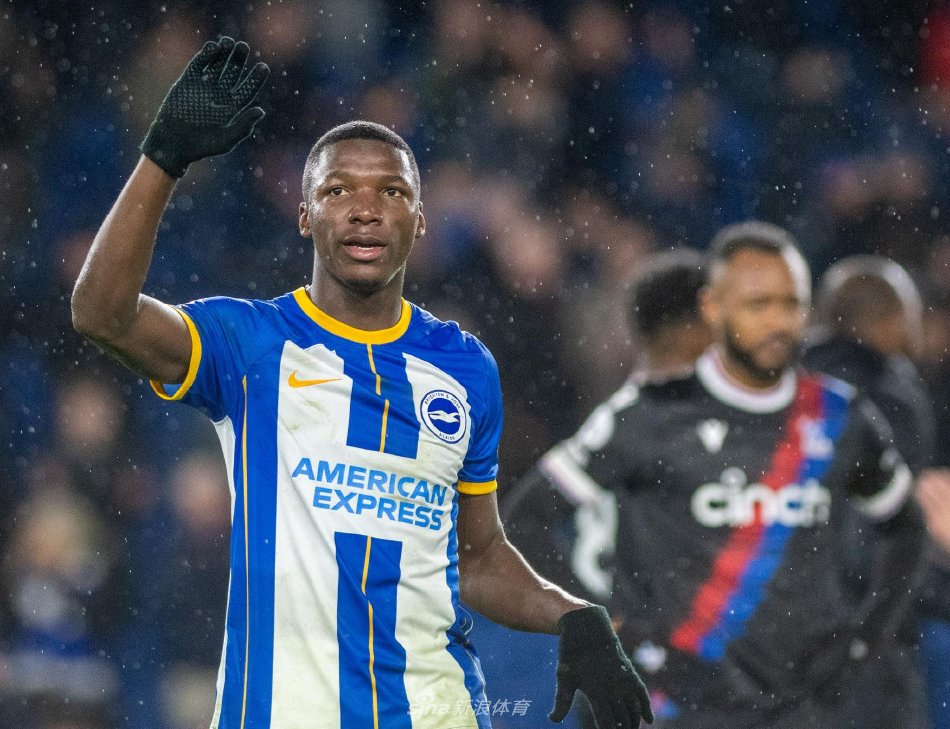 成长为新生 成长为新生